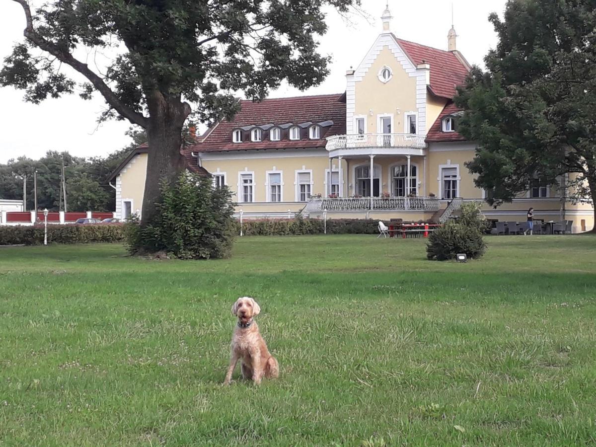 Rosenberg Kuria Bed & Breakfast Taplanszentkereszt Luaran gambar